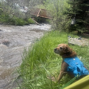 Fundraising Page: Amy Wason